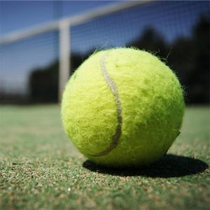 ASTE Tennis Courts